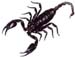 palamneus