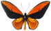 croesus